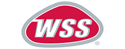 wss